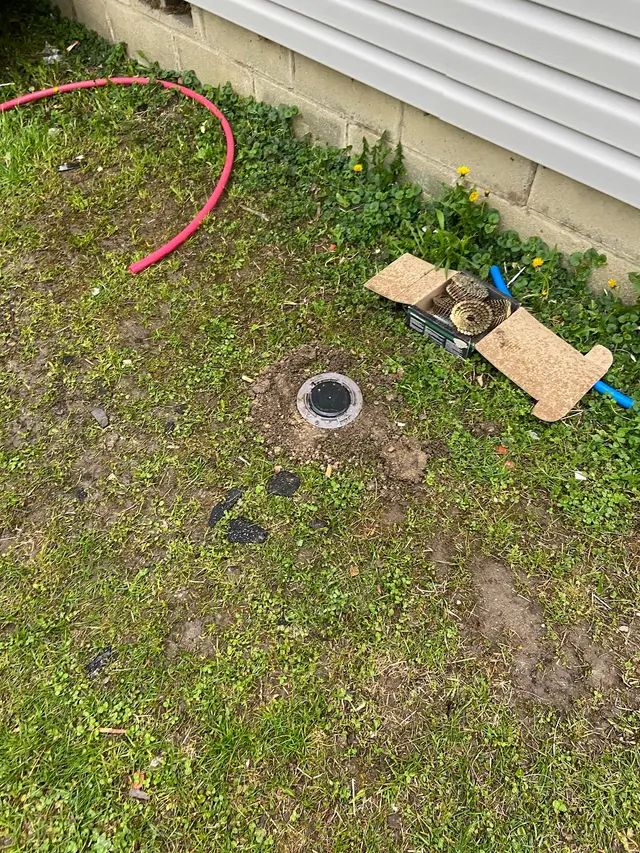Anderson Termite & Pest Solutions..Locally owned in Greenwood.. pest, termite, rodent contol — customer photo 12