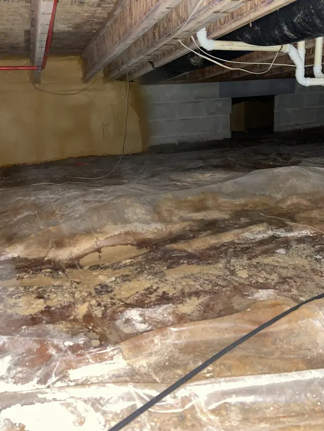 Anderson Termite & Pest Solutions..Locally owned in Greenwood.. pest, termite, rodent contol — photo from the business 9