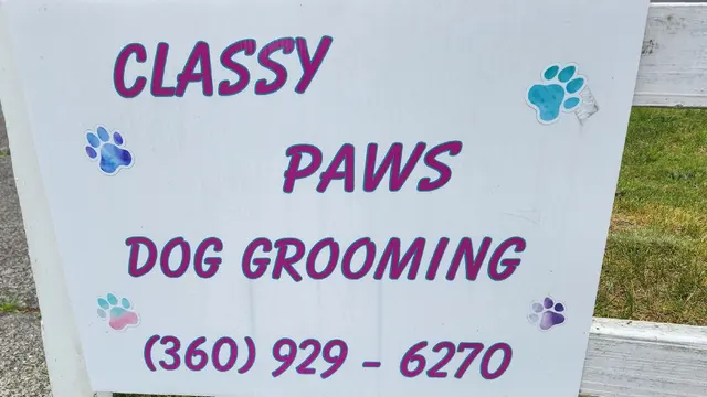 Classy Paws Dog Grooming — photo from the business 1