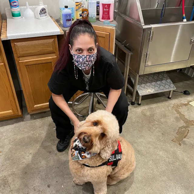 Classy Paws Dog Grooming — photo from the business 3