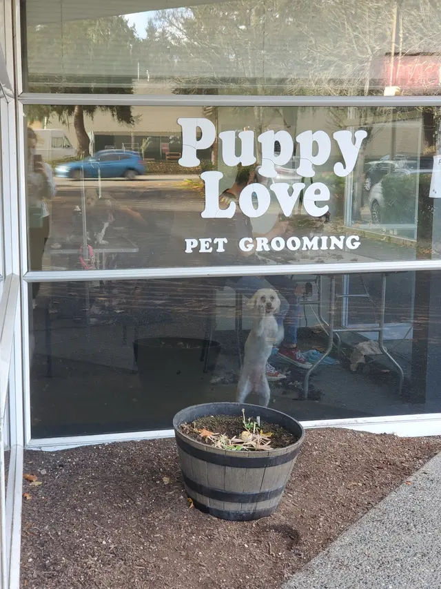 Puppy Love Dog Grooming — customer photo 8
