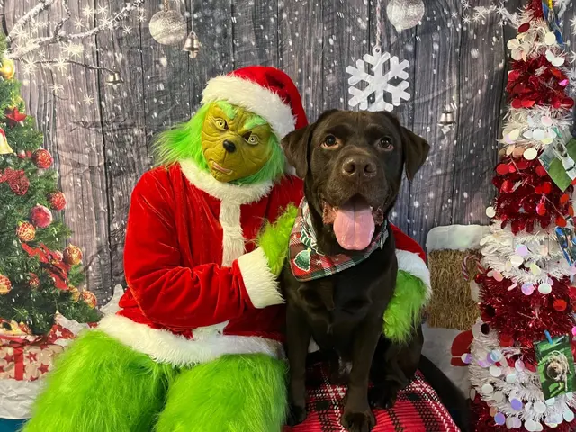 Camp Canine Doggy Day Care — customer photo 2