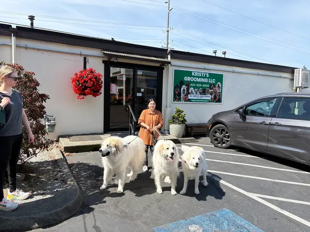 Kristi's Grooming — photo from the business 1