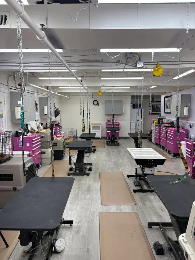 Kristi's Grooming — photo from the business 6