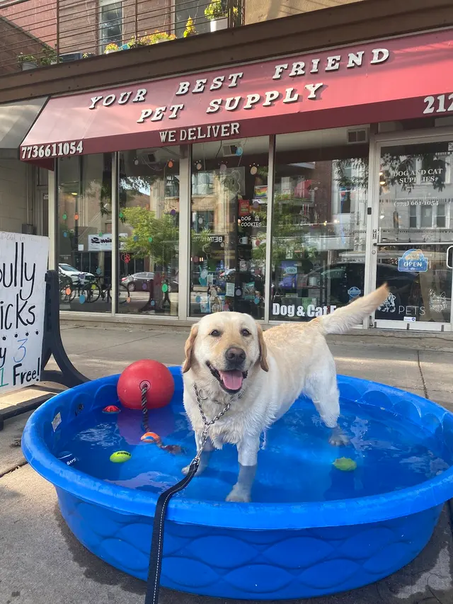 Your Best Friend Pet Supply — customer photo 3
