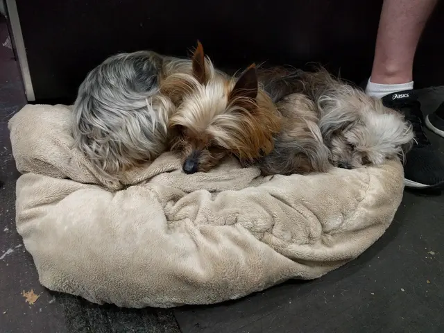 Your Best Friend Pet Supply — customer photo 11