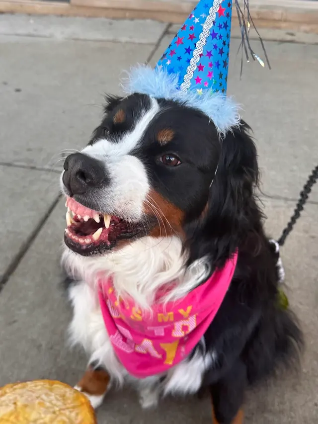 Your Best Friend Pet Supply — customer photo 10