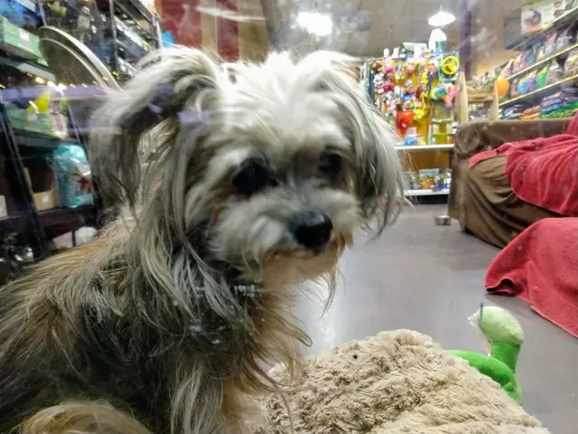 Your Best Friend Pet Supply — customer photo 12