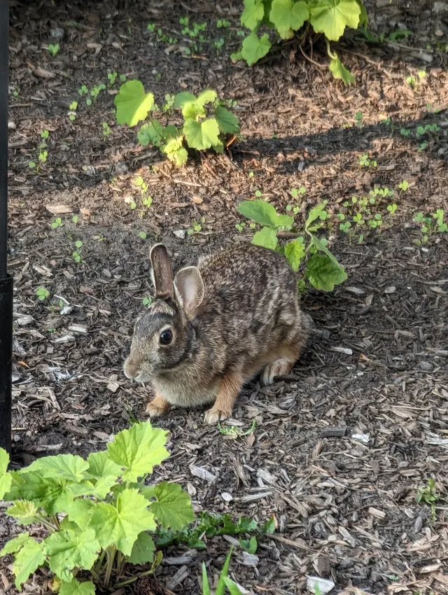 Sprocket & Stone — customer photo 12