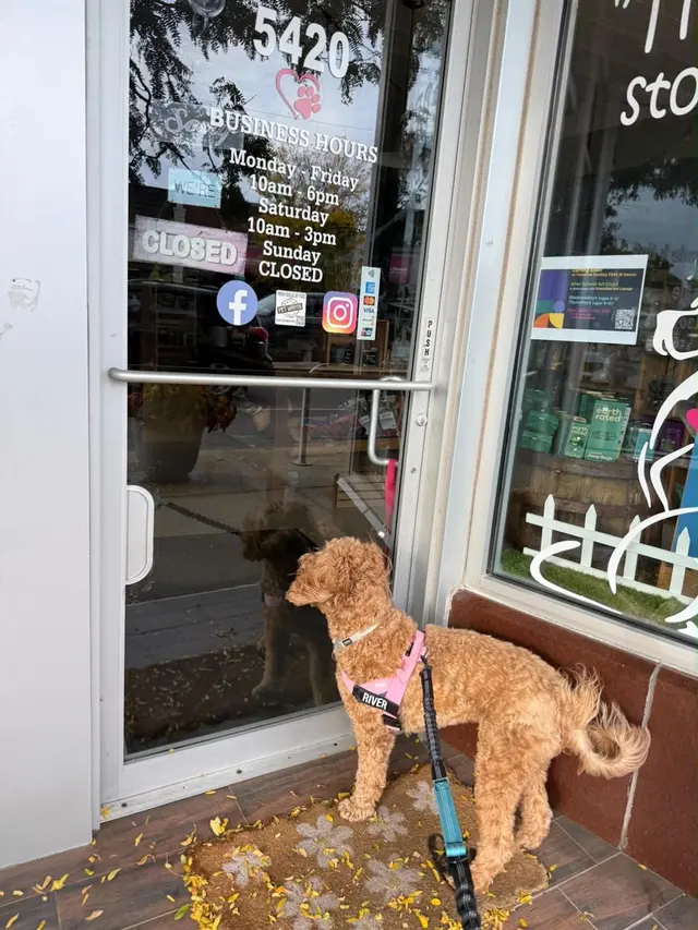 Pet Wants Chicago North — photo from the business 2
