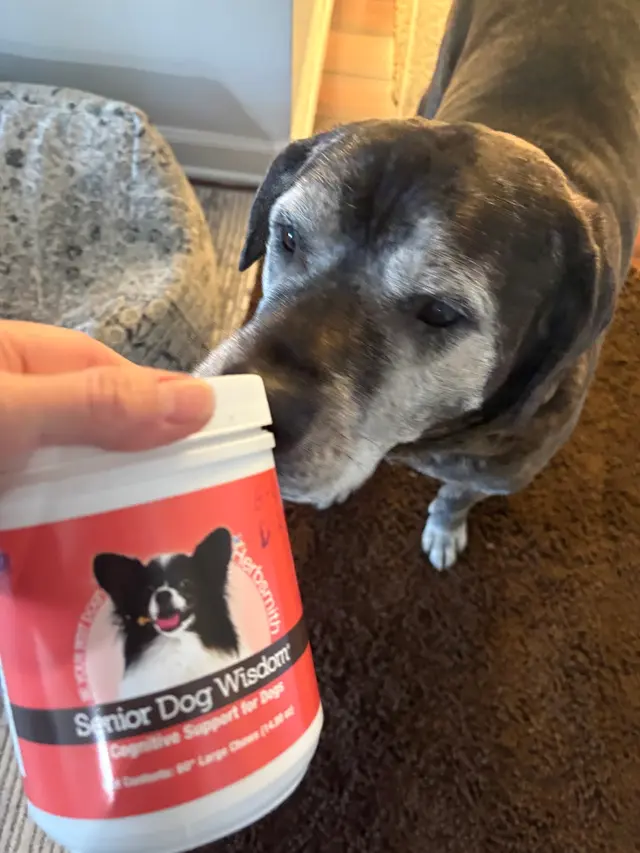 Pet Wants Chicago North — photo from the business 10