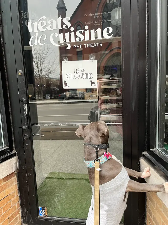 Treats De Cuisine — customer photo 12