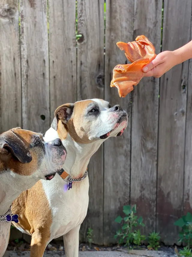 Treats De Cuisine — customer photo 11
