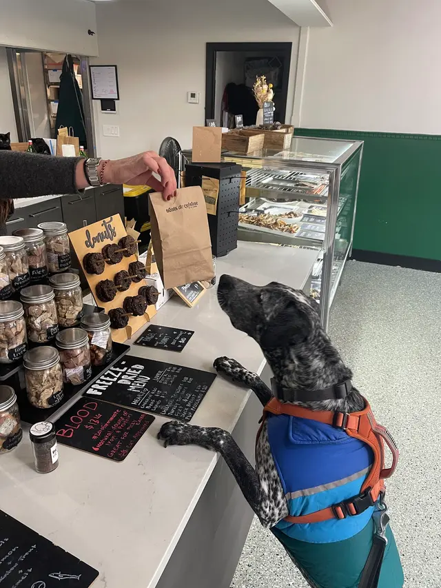 Treats De Cuisine — customer photo 6