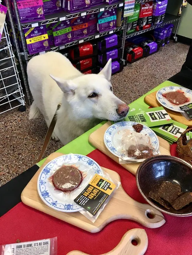 Liz's Pet Shop — photo from the business 5