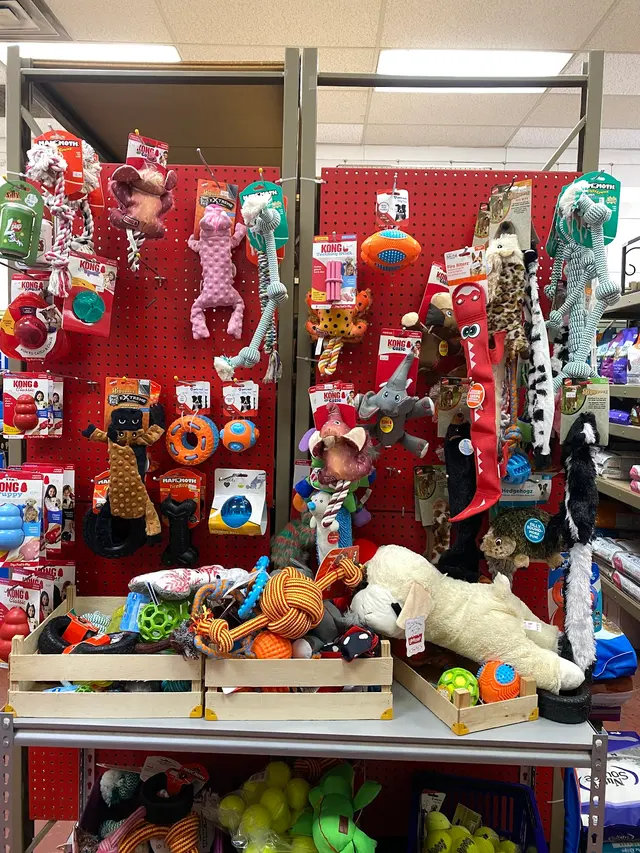 Liz's Pet Shop — customer photo 9