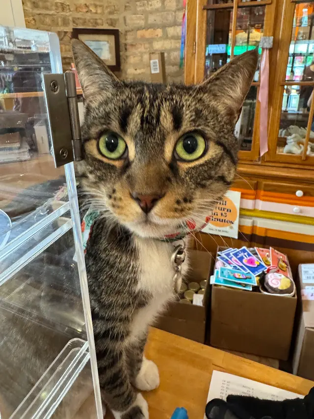 Squeaky Bea’s — customer photo 4