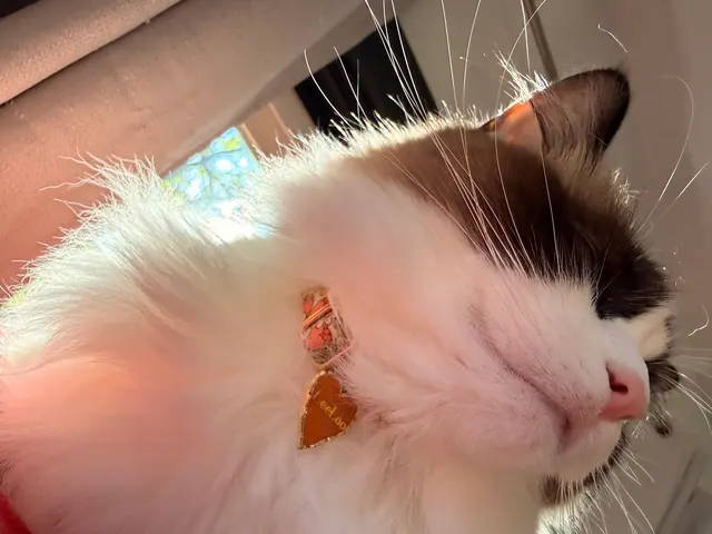 Squeaky Bea’s — customer photo 10