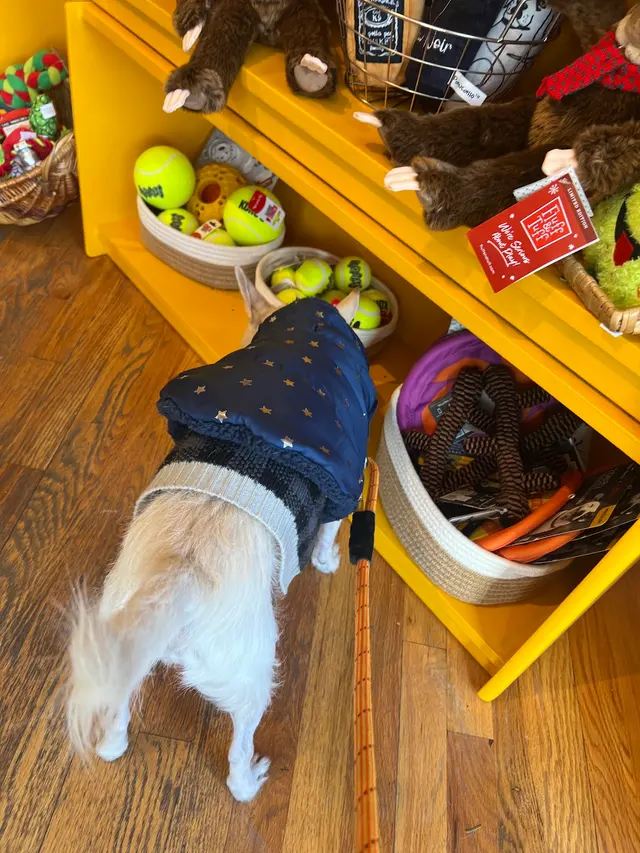 Squeaky Bea’s — customer photo 8