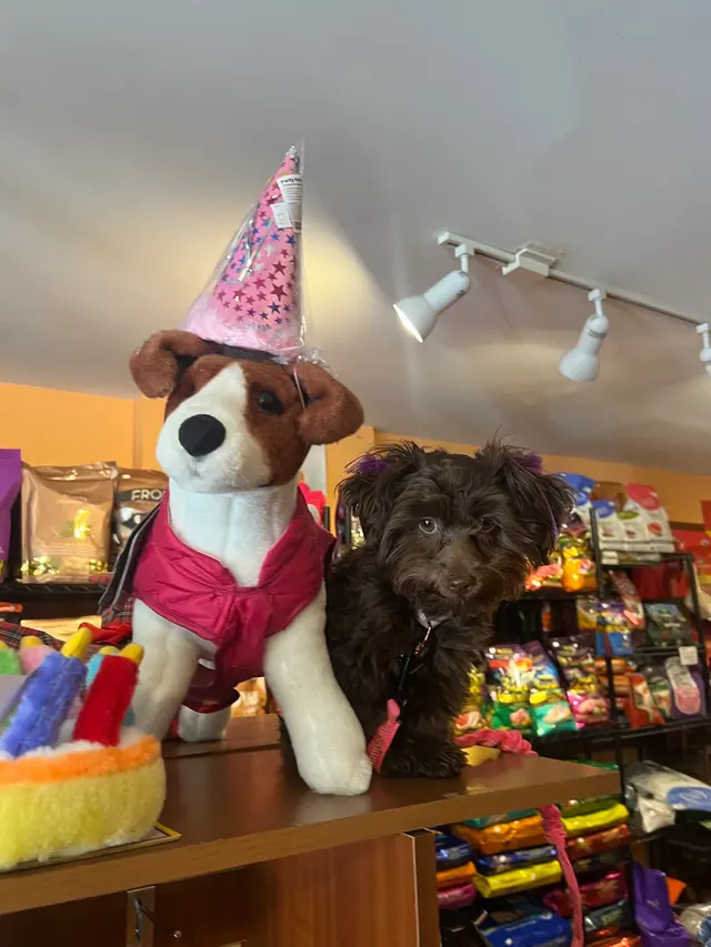 Bark N' Bites — customer photo 5