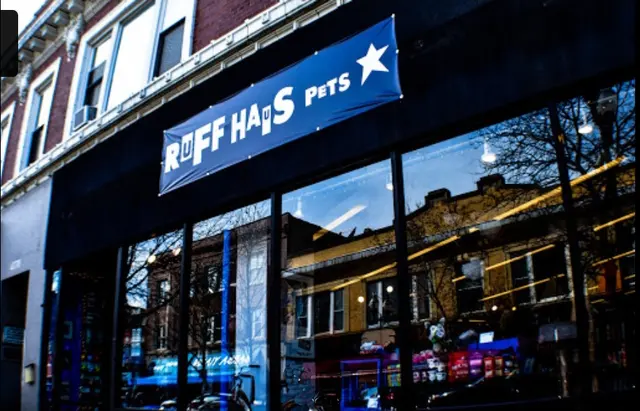 Ruff Haus Pets — photo from the business 2