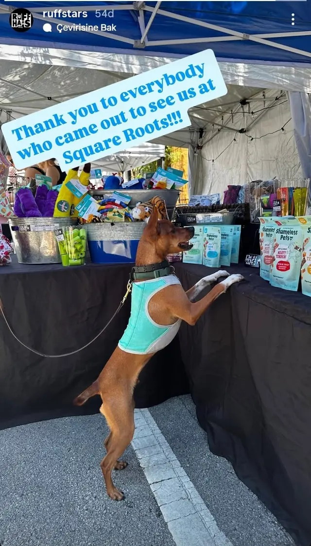 Ruff Haus Pets — photo from the business 8