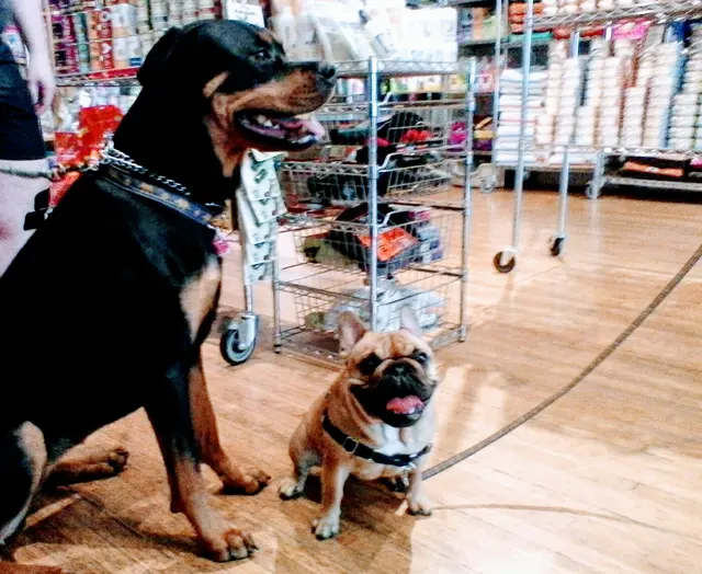 4Legs Inc. — customer photo 9