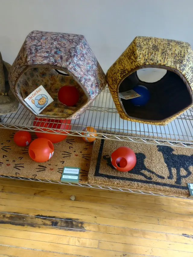 4Legs Inc. — customer photo 10
