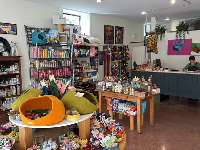 4Legs Inc. — customer photo 2