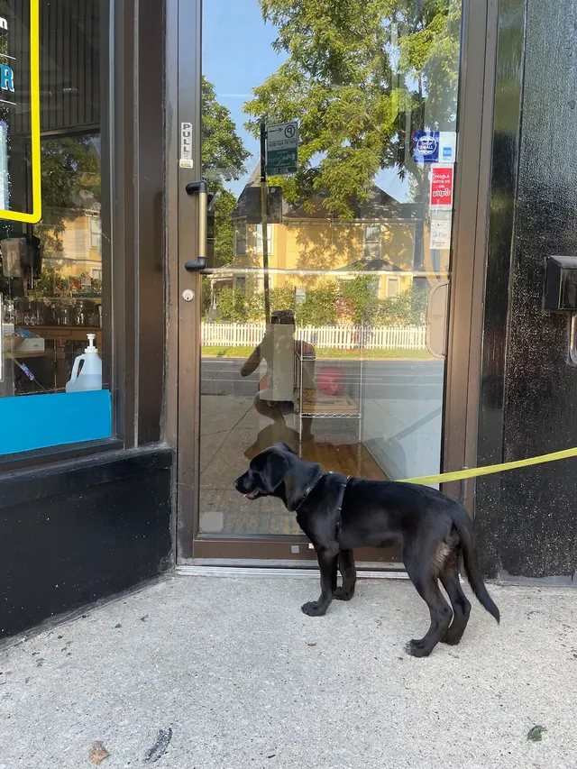 4Legs Inc. — customer photo 4