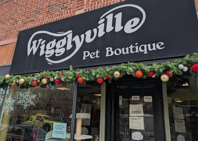 Wigglyville, Inc. — customer photo 1