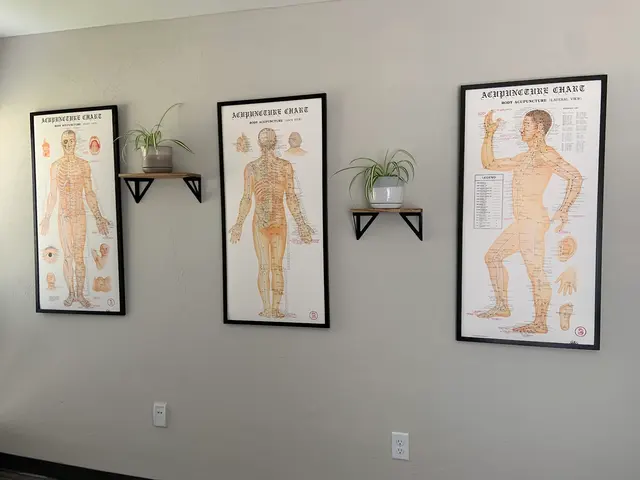 Sports and Orthopedic Acupuncture of Gainesville — photo from the business 5