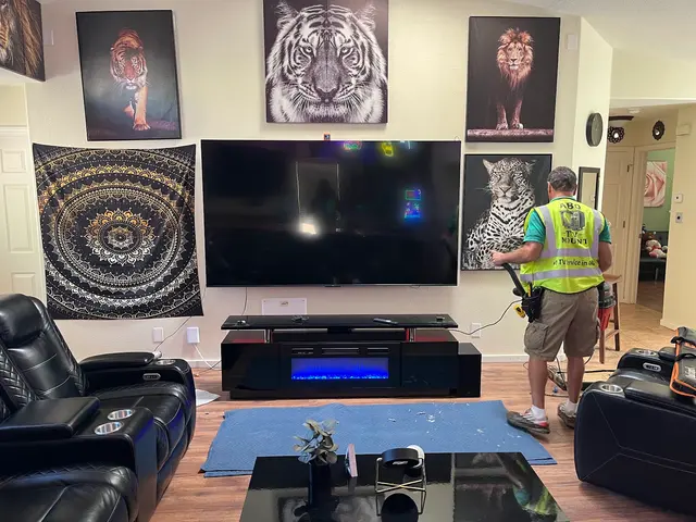 ABQ TV Mount — photo from the business 3