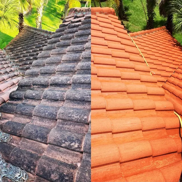 HouseBright Exterior Cleaning — photo from the business 7