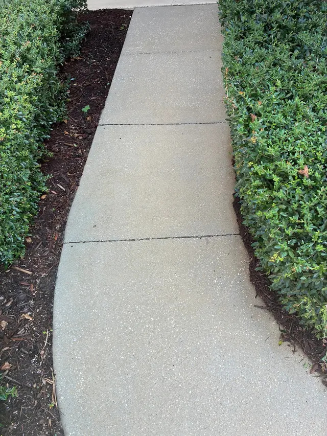 Customer photo from Barry's review