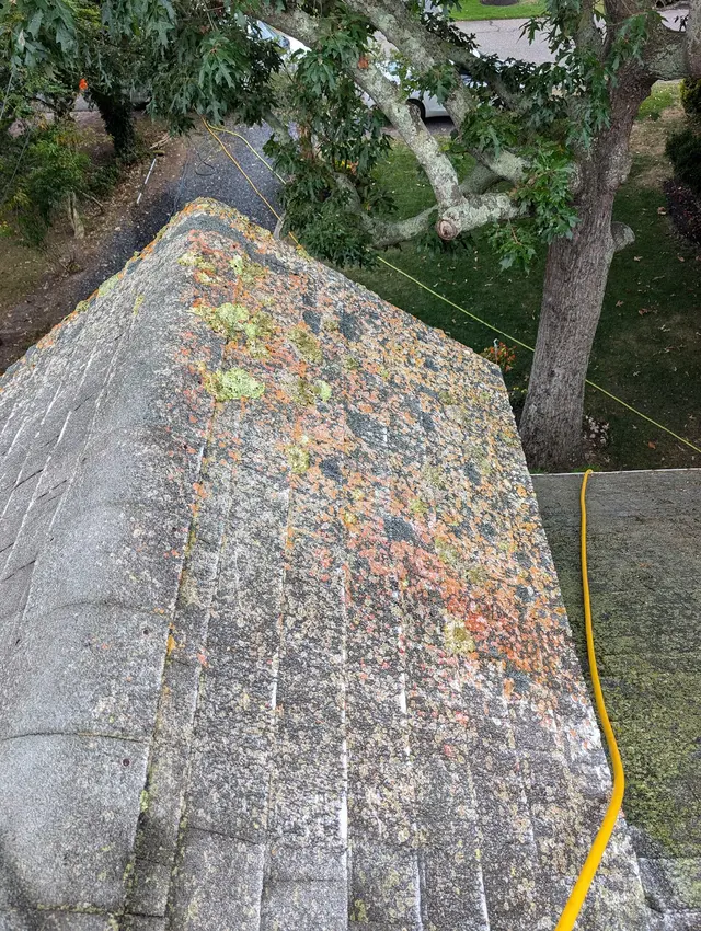 North Star Power Washing — photo from the business 12