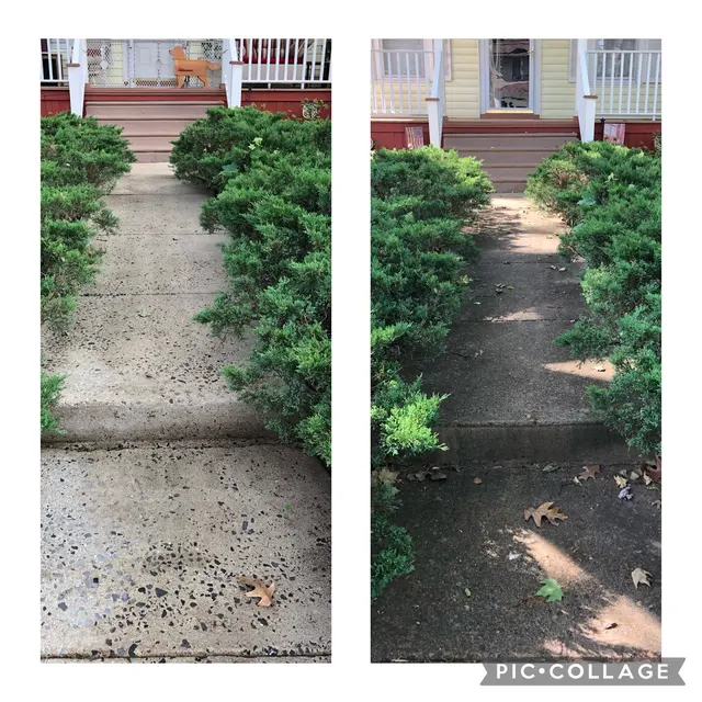 Alex's Pressure Washing & Cleaning Services — photo from the business 12