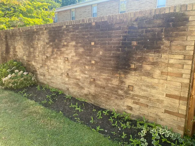 Capital Soft & Pressure Wash LLC — photo from the business 7