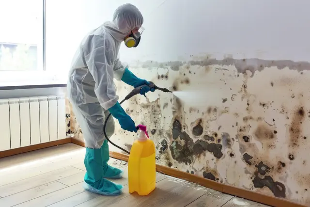 Colton Water Removal & Cleanup — photo from the business 1