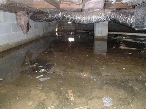 Colton Water Removal & Cleanup — photo from the business 8
