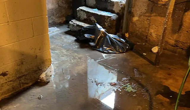 Colton Water Removal & Cleanup — photo from the business 5