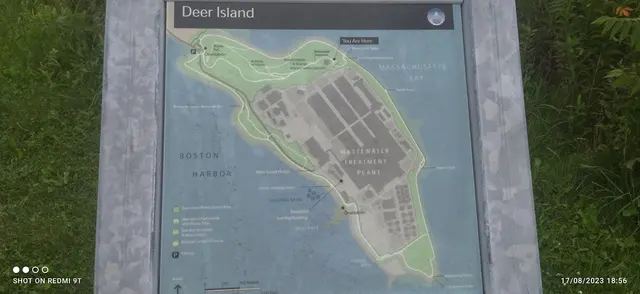 Customer photo of work by Deer Island Wastewater Treatment Plant, from Alirio Gongora's review