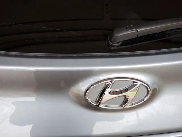 Dent Pro of the Carolinas — customer photo 3