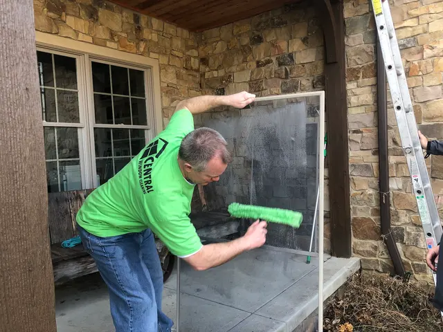 Central Window Cleaning — photo from the business 12