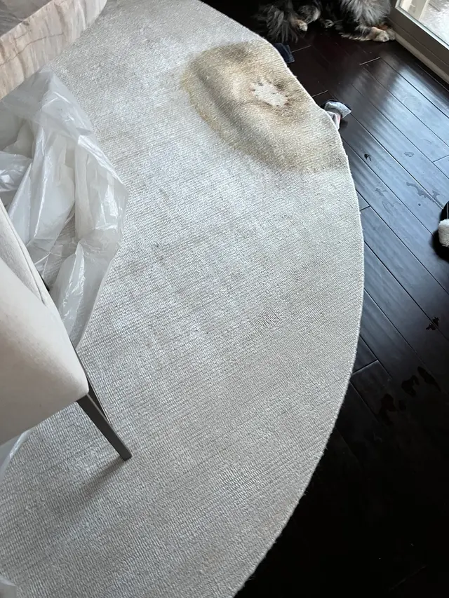 Customer photo from Karen's review