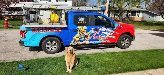All-Star Power Cleaning — photo from the business 1