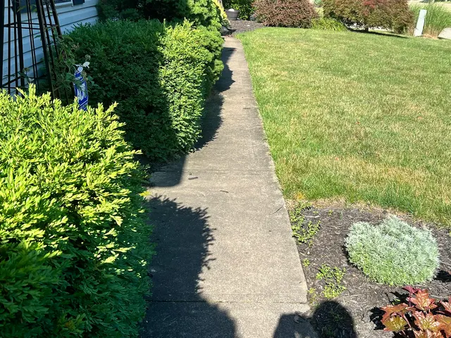 We Mean Clean Pressure Washing — customer photo 11