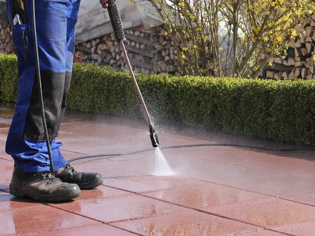 Rolling Thunder Window Cleaning and Pressure Washing — photo from the business 4