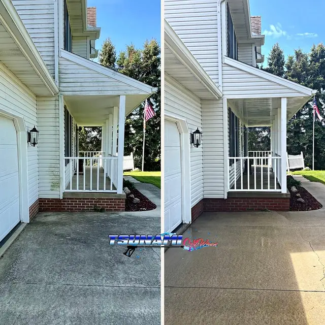 Tsunami Softwash Pro — photo from the business 2