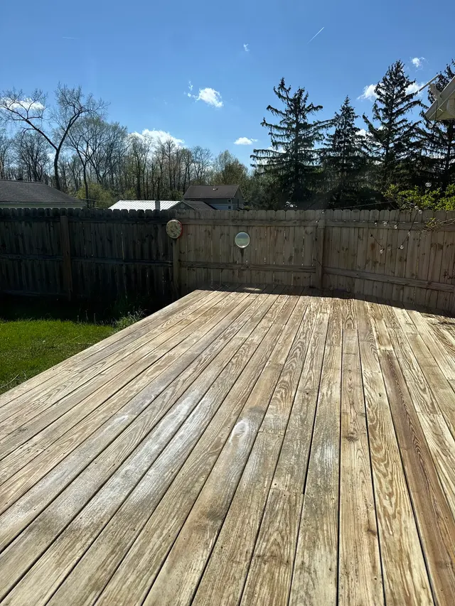 Tsunami Softwash Pro — customer photo 9